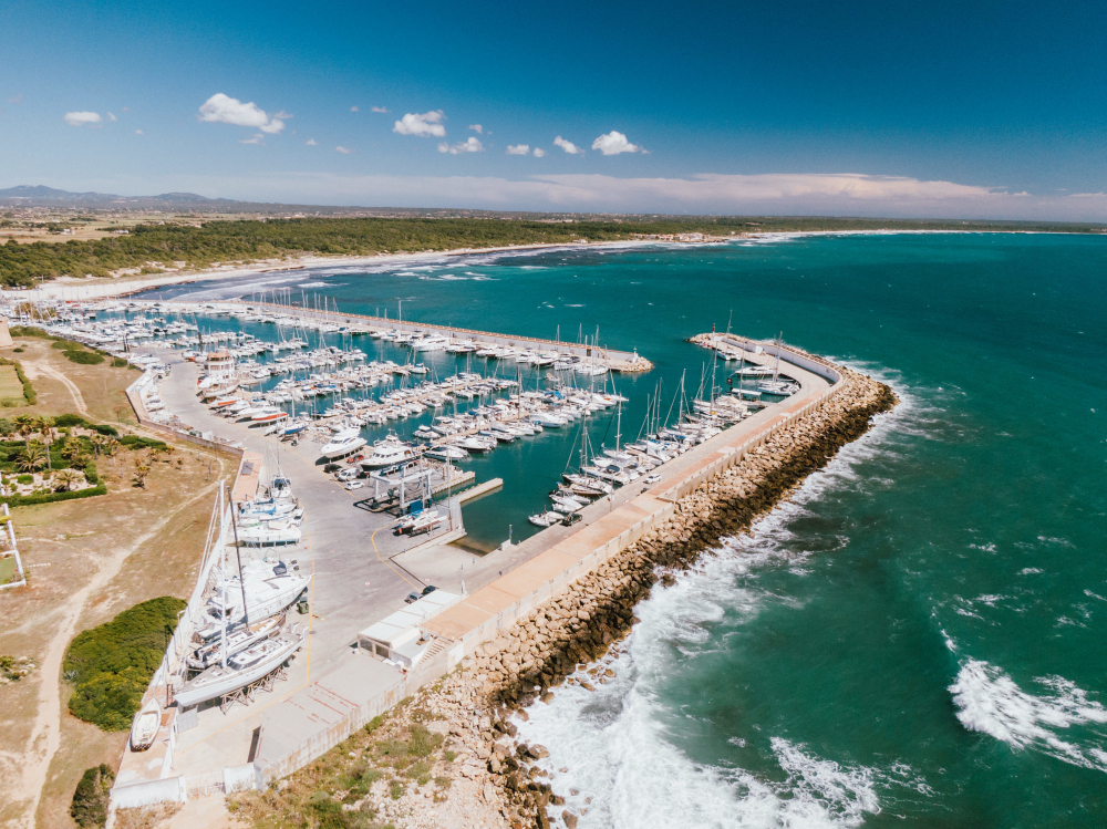 Historia de Pleuroid