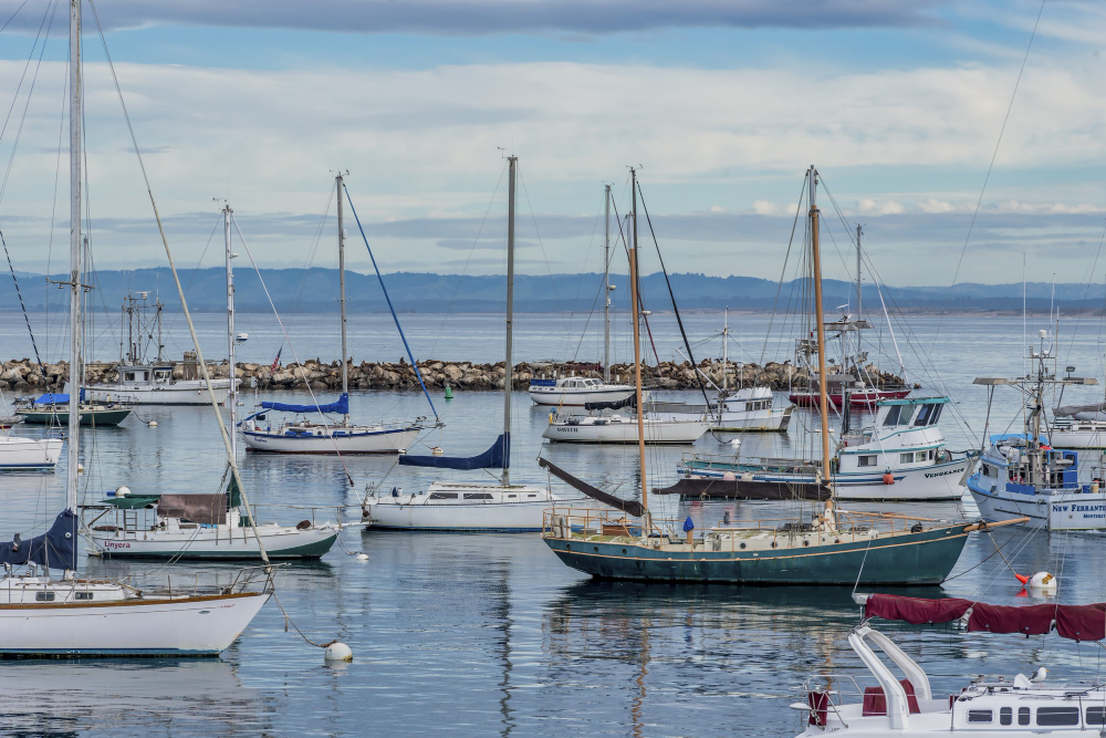 Compromiso ambiental